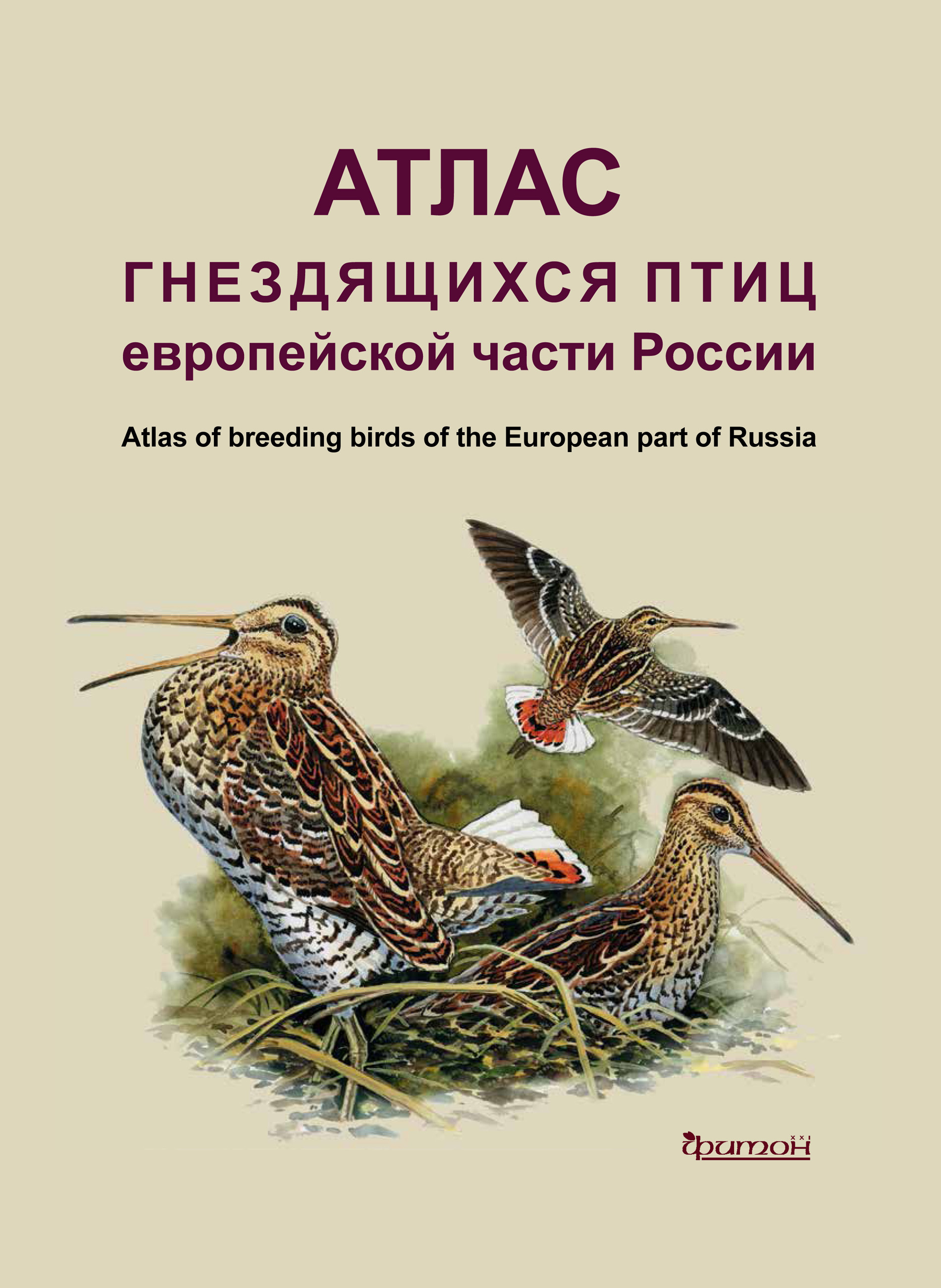 Список птиц России — Википедия